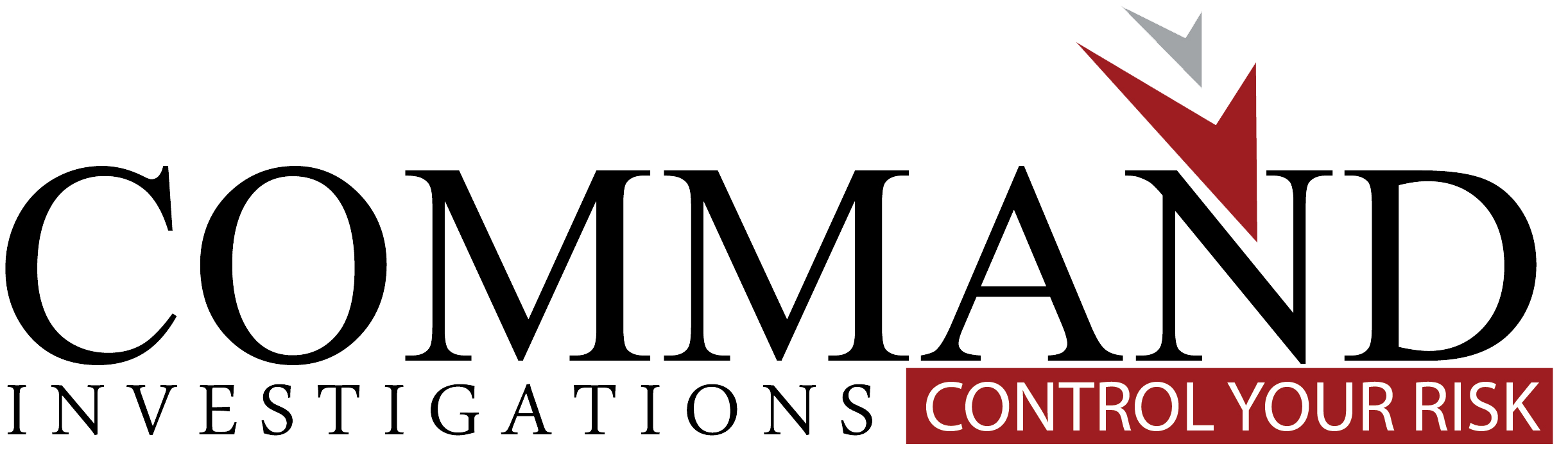 Command Investigations: Control Your Risk Logo